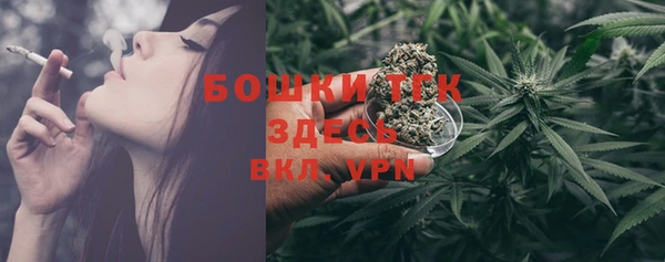 твердый Богородицк