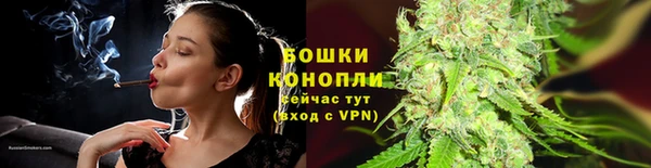 твердый Богородицк