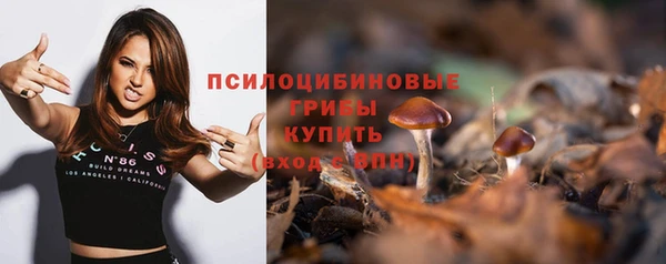 твердый Богородицк