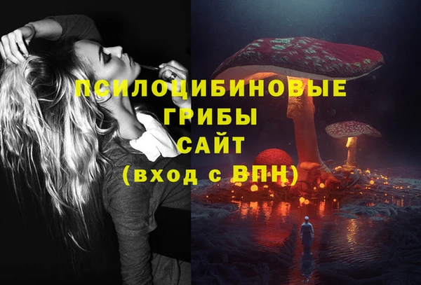 твердый Богородицк