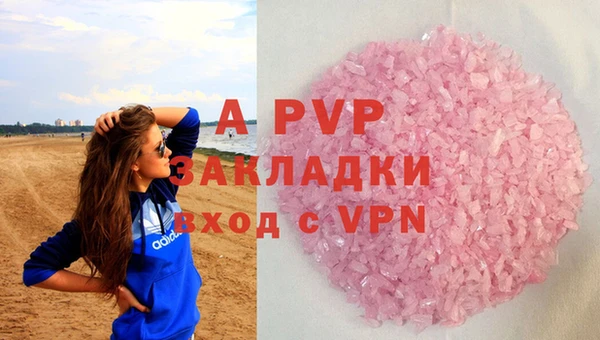 стафф Богородск