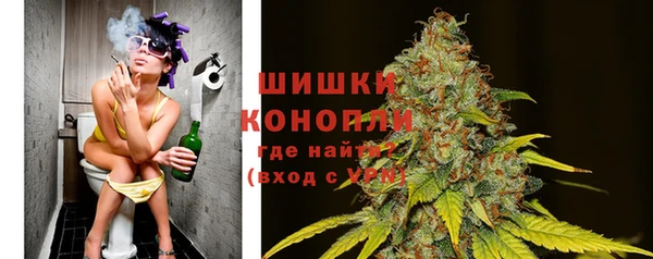 твердый Богородицк
